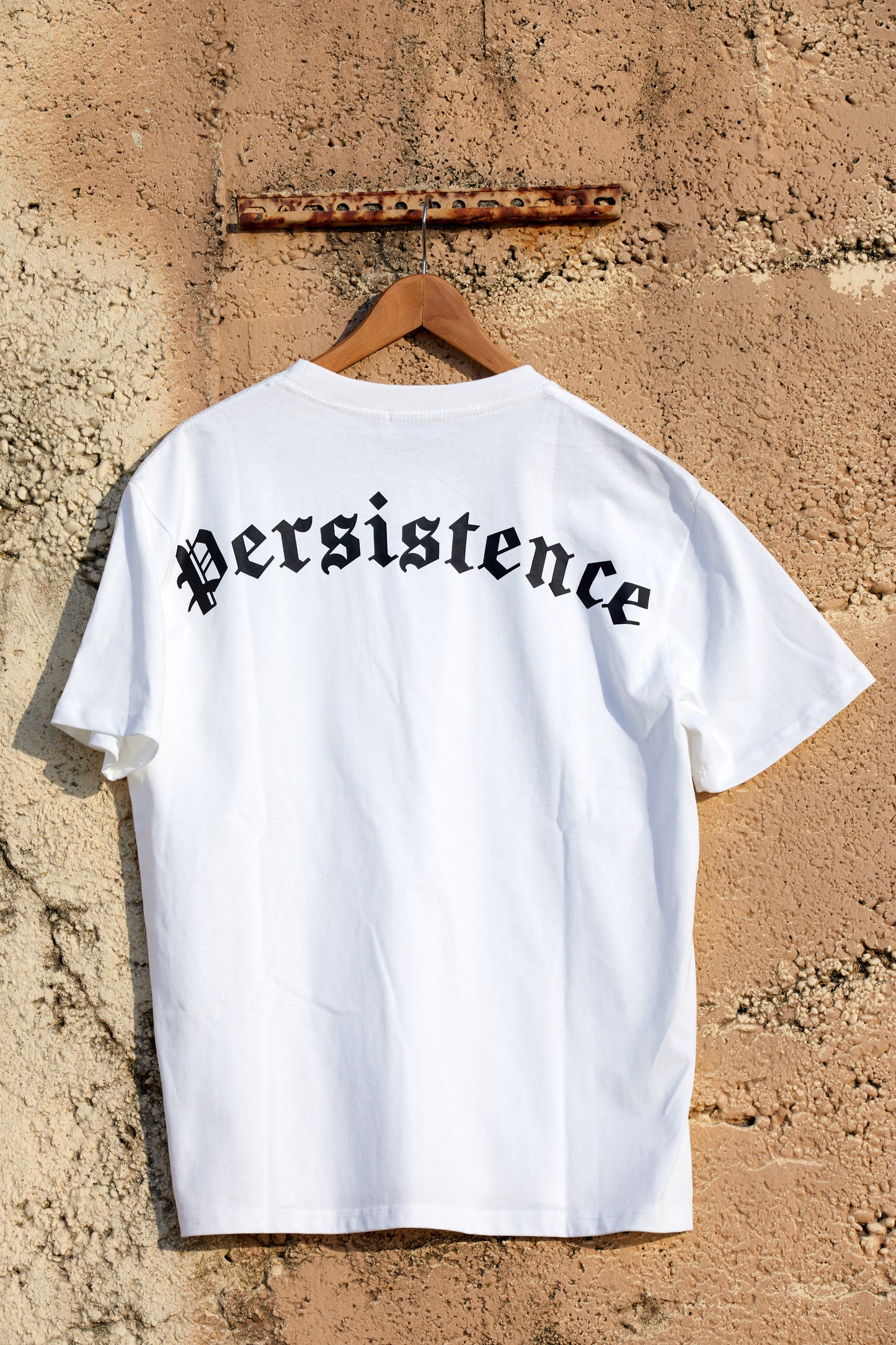 Oversized Persistence Tee